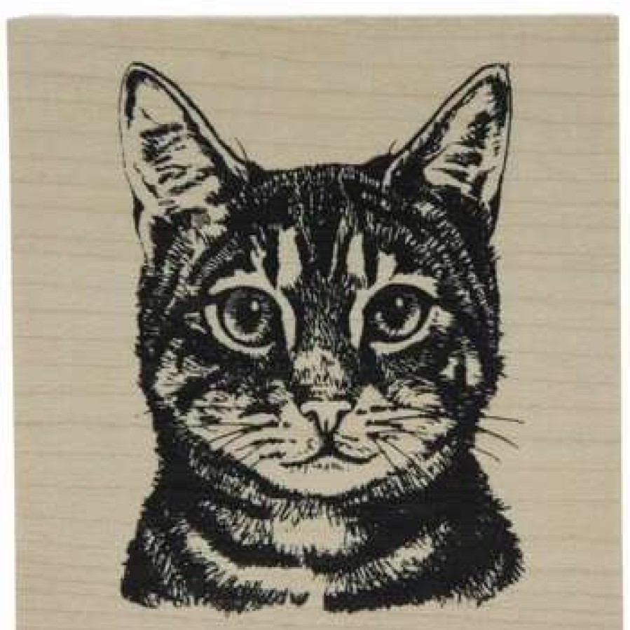 Rubber Stamps * | Cheap Tabby Cat Rubber Stamp