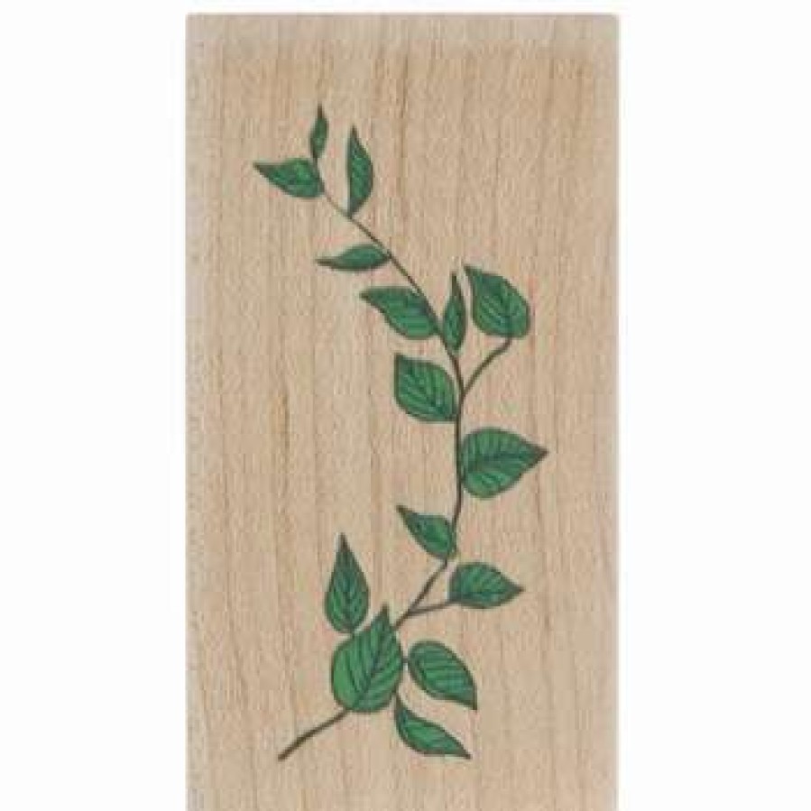 Rubber Stamps * | Hot Sale Ivy Vine Rubber Stamp